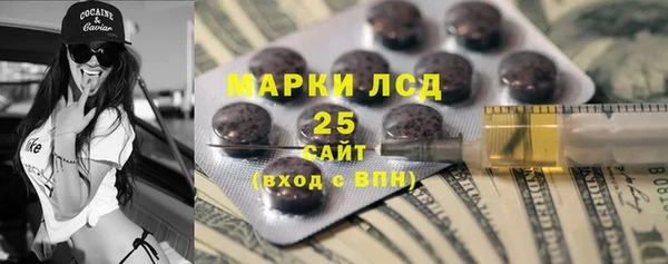 прущие грибы Алзамай