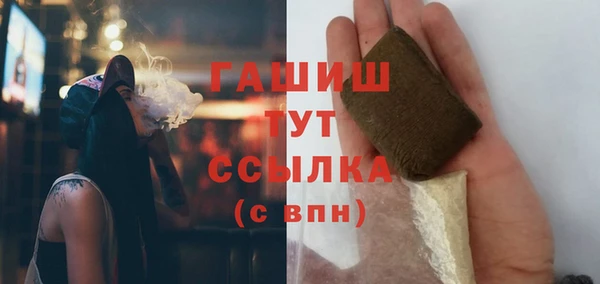 прущие грибы Алзамай