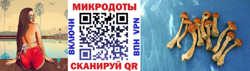 Галлюциногенные грибы Cubensis  как найти наркотики  Тверь 