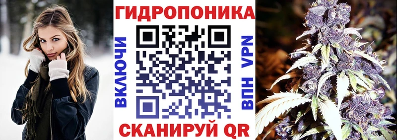 Бошки марихуана планчик  Тверь 